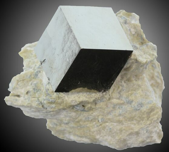 Pyrite Cube on Matrix - Navajun, Spain #30983